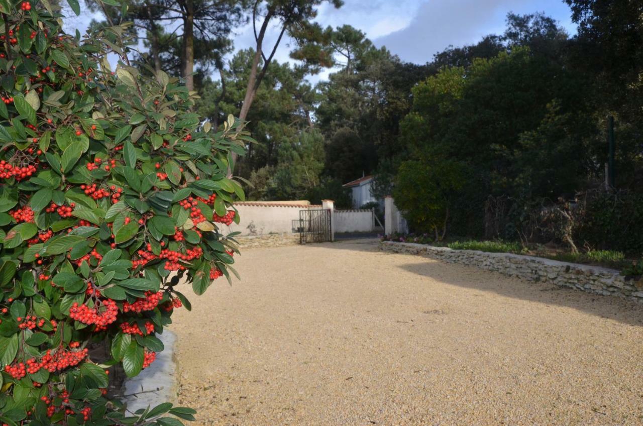Maisonnette Maumusson Villa Saint-Trojan-les-Bains Esterno foto